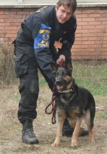 Les chiens du K9 reniflent la marijuana, les douaniers arrêtent les passeurs