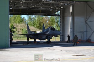 Polish MIG-29 at Siaulai base in Lithuania.