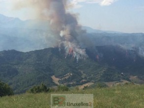 la zone boisée où a eu lieu l'accident - crédit : @oiramdivito