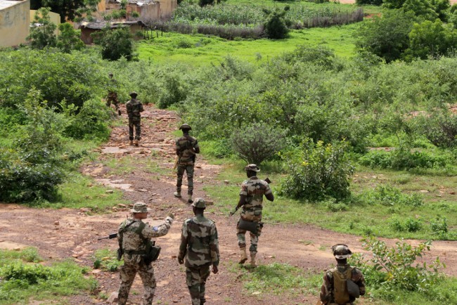 une patrouille en entraînement (crédit : EUTM Mali)