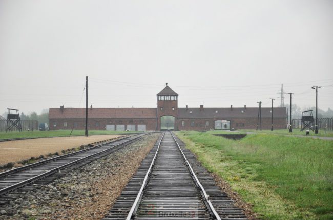 Israël proteste toujours contre la loi polonaise sur l’holocauste. Varsovie persiste et signe