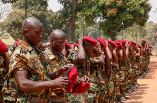Centrafrique. Un premier détachement d’anciens rebelles réintégré