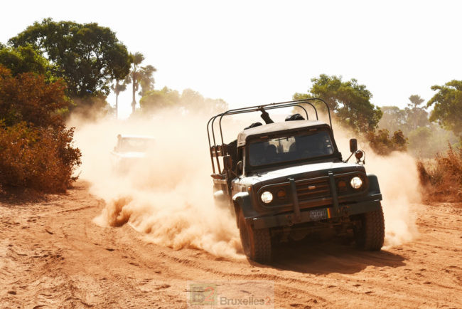 Au bord du fleuve Niger : attention conduite difficile